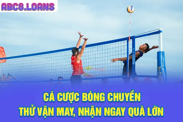 Cá Cược Bóng Chuyền - Thử Vận May, Nhận Ngay Quà Lớn