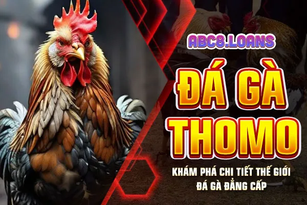 Đá Gà Thomo - Khám Phá Chi Tiết Thế Giới Đá Gà Đẳng Cấp