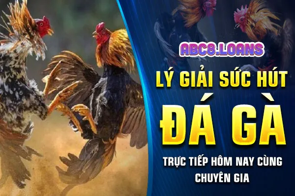 Lý Giải Sức Hút Đá Gà Trực Tiếp Hôm Nay Cùng Chuyên Gia