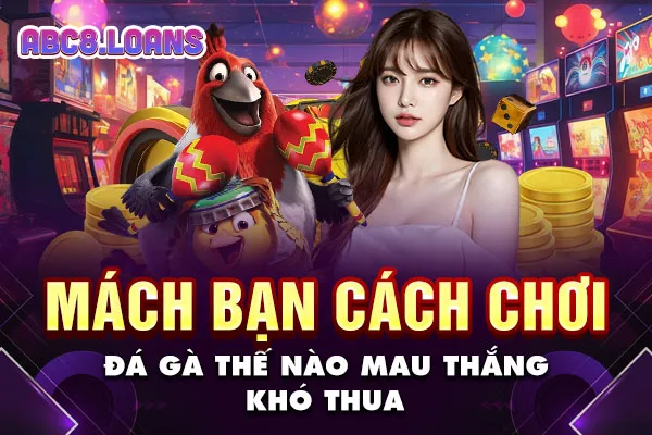 Mách Bạn Cách Chơi Đá Gà Thế Nào Mau Thắng, Khó Thua